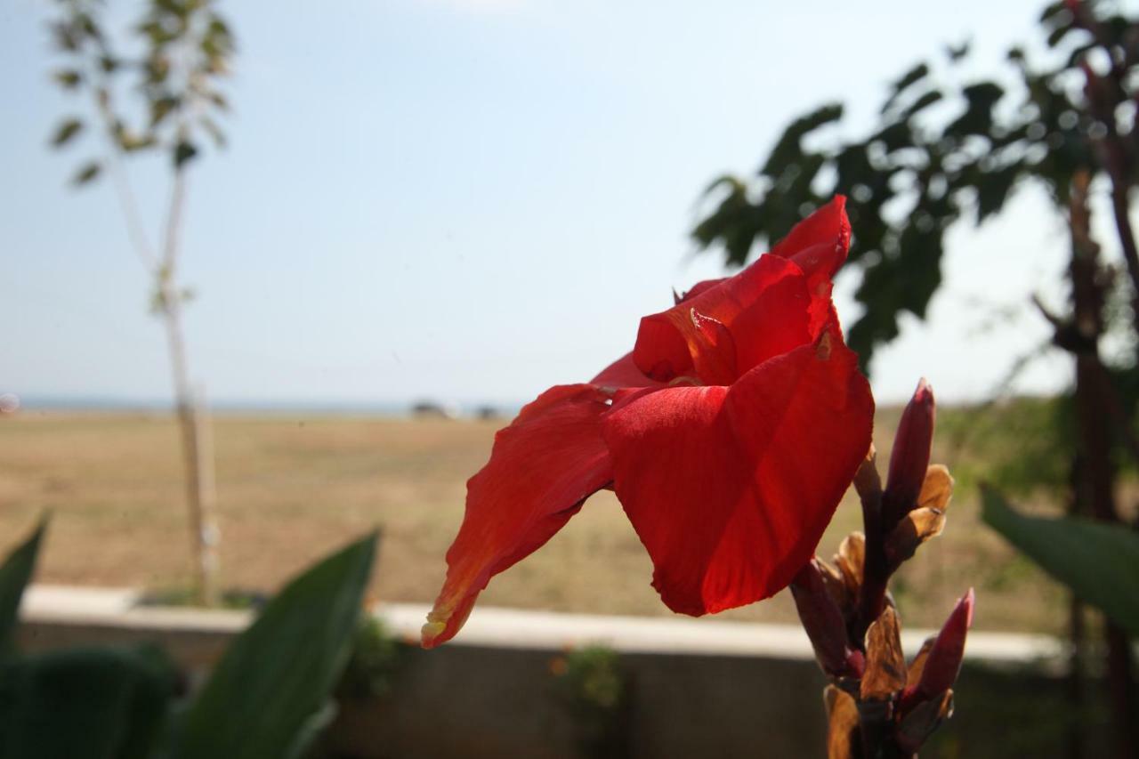 See To Sea Apartments Paralia Dionysiou Exterior foto